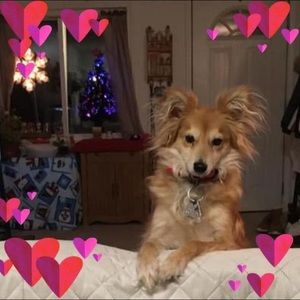 Meet your Posher, Doreen